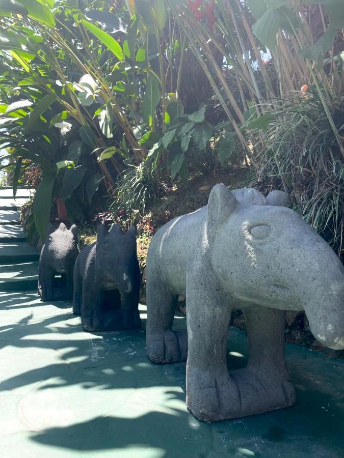 Dreams Lodge Orosi Cartago Exterior foto